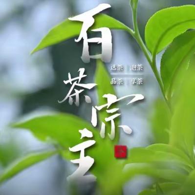 百茶宗主