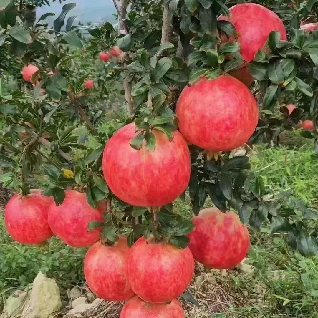 欣姐好物