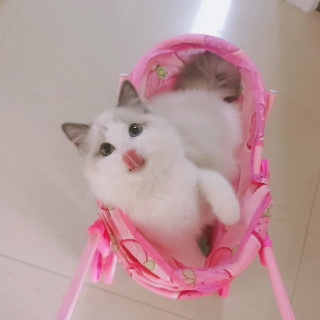 不知道什么好