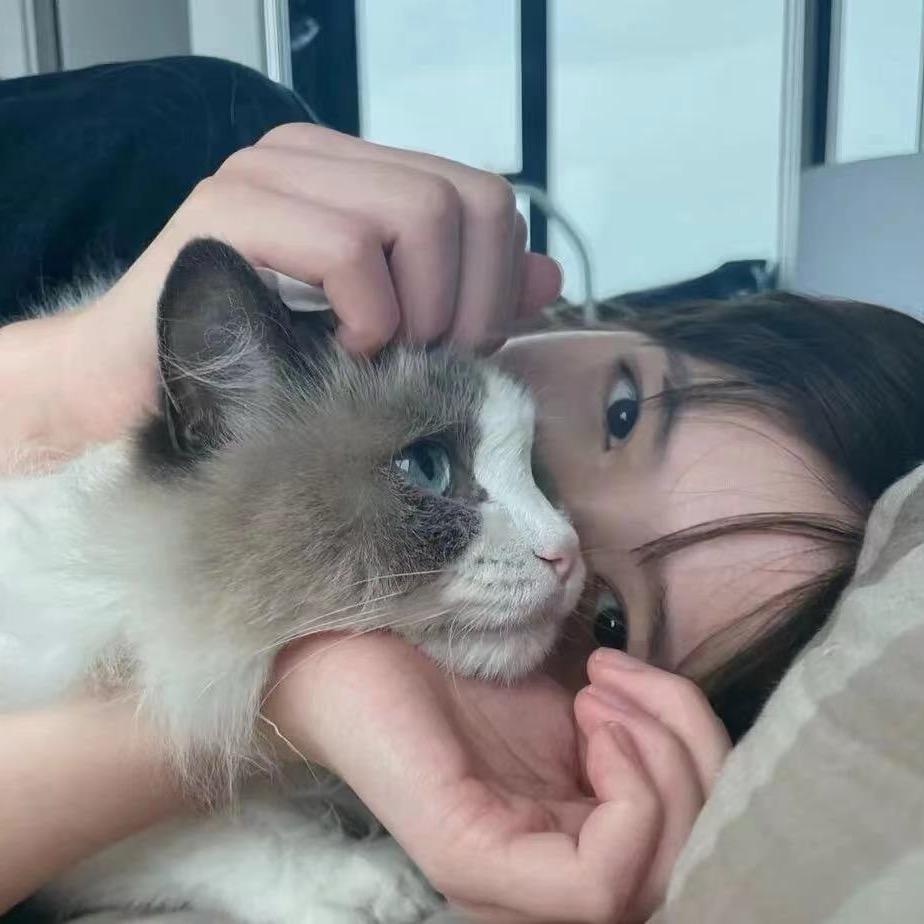 蛋蛋不吃蛋