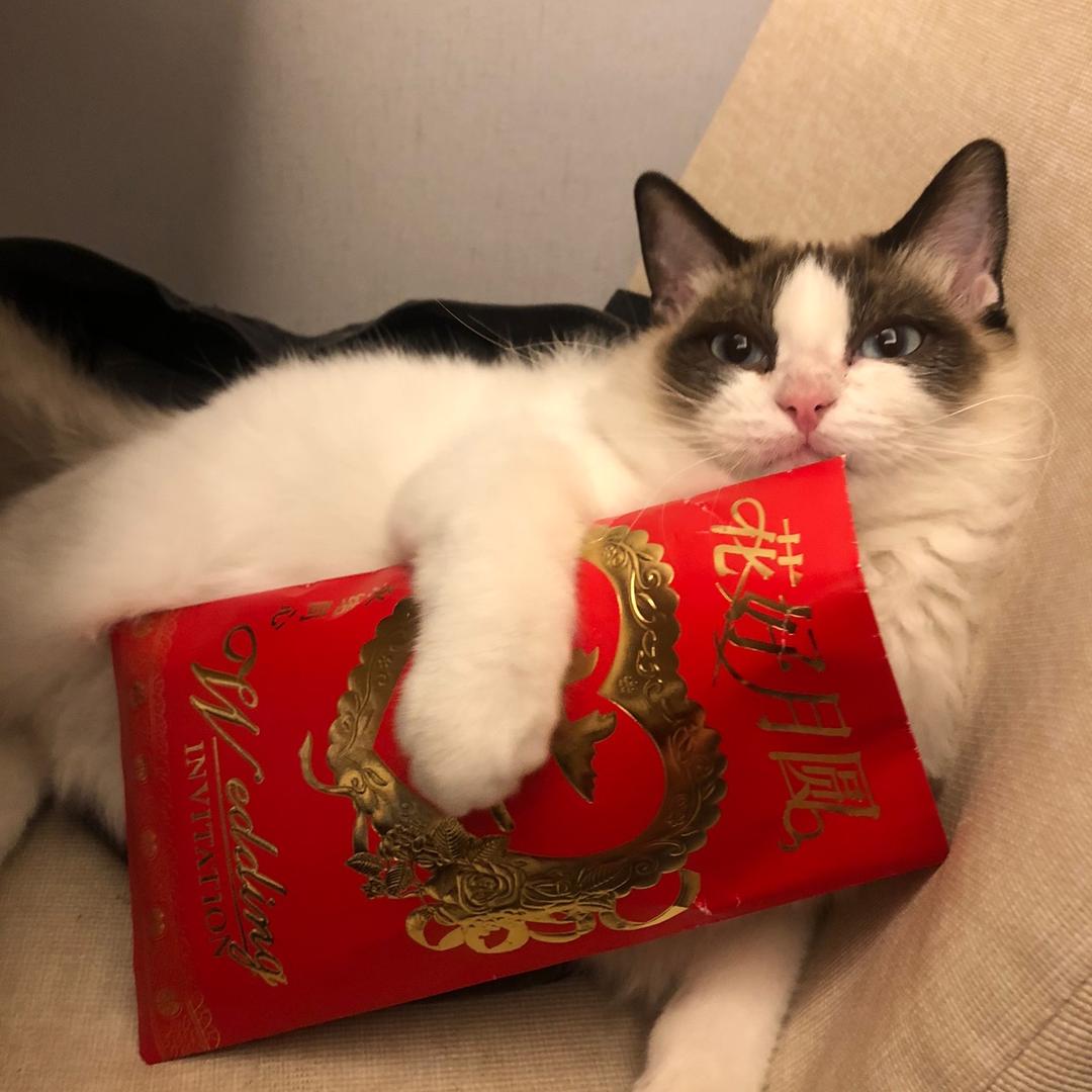 和小小陈的成长日记