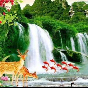 青山绿水