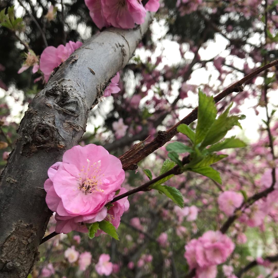 月月
