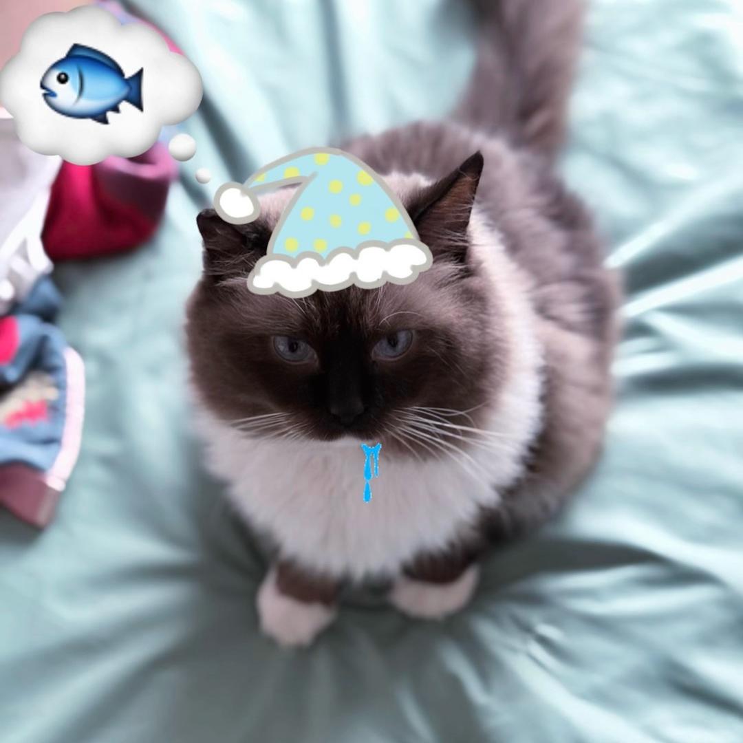 🥥Weiiou.（腰伤版）