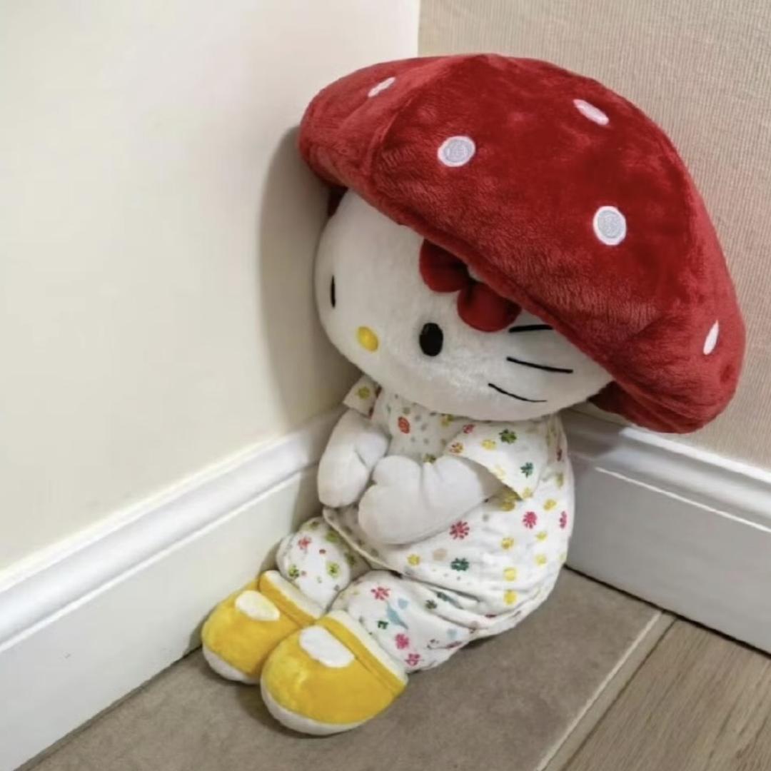 吃洋芋长大的土豆子🥔