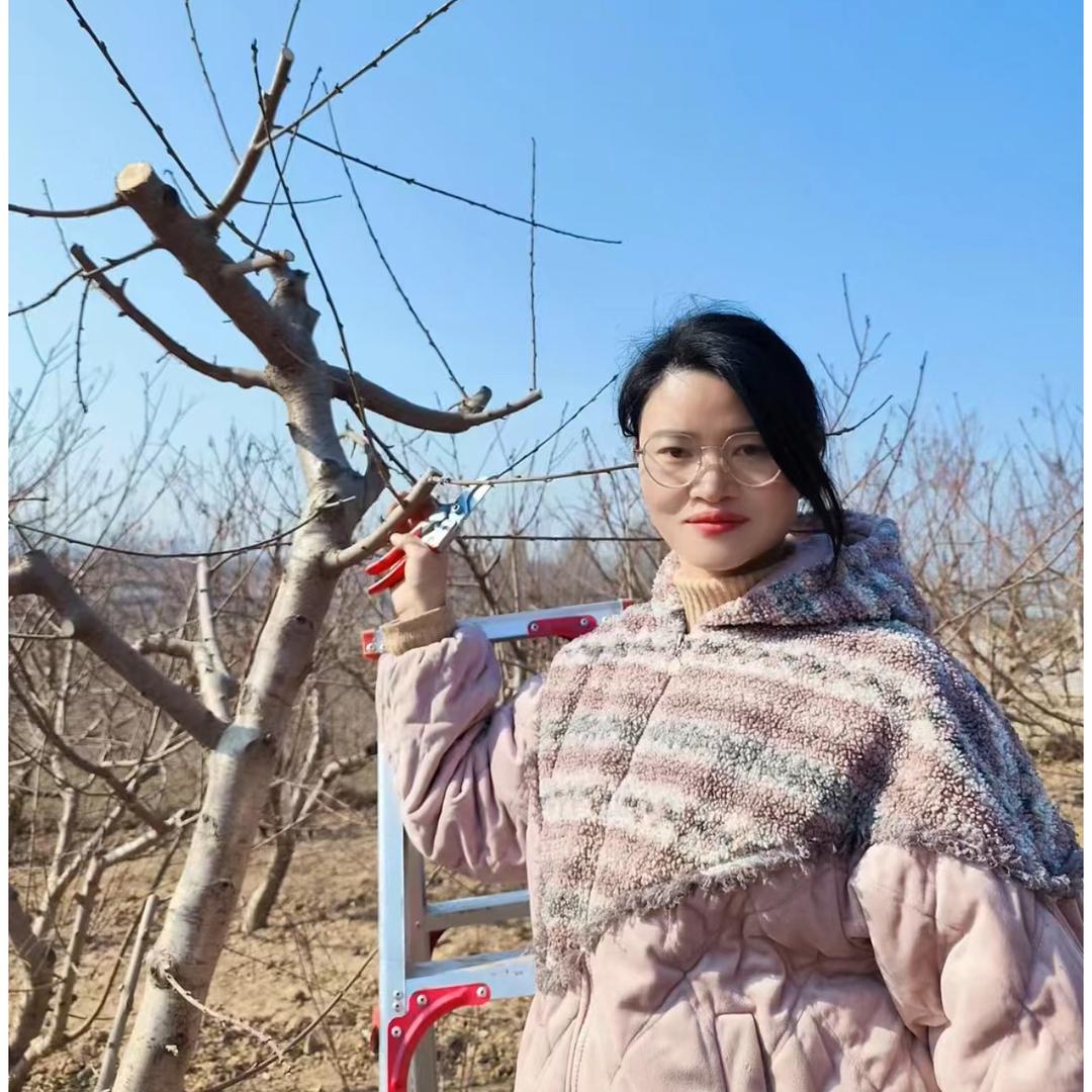 种果树的刘小妹