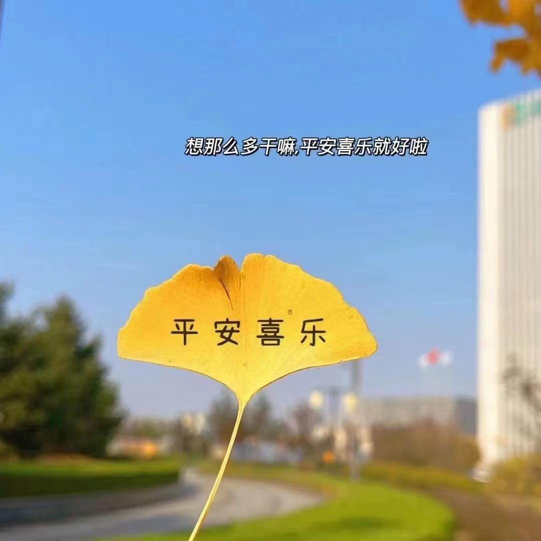 👉花开的声音👈
