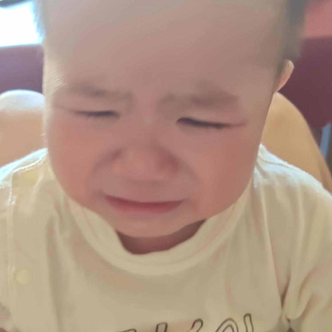 仙女的小橙子