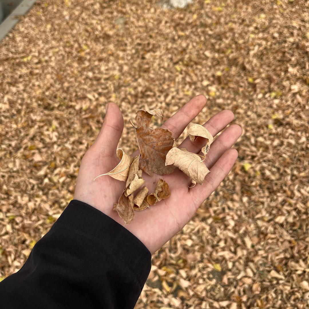 PUBG小明（压强调试）