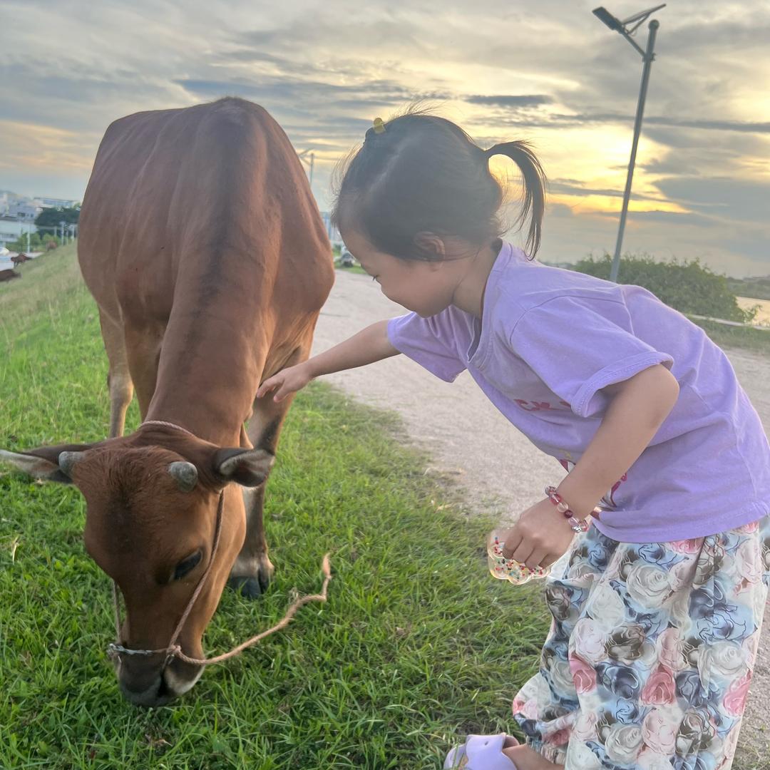 🌈: ꦻ释怀꧔ꦿ᭄