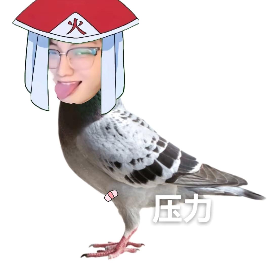 鸽子哥哥的小弟弟