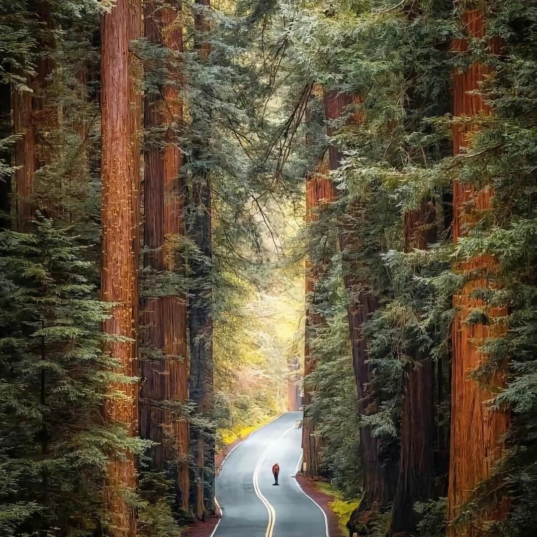 静心如意🟥🟨🟩🟦🟫