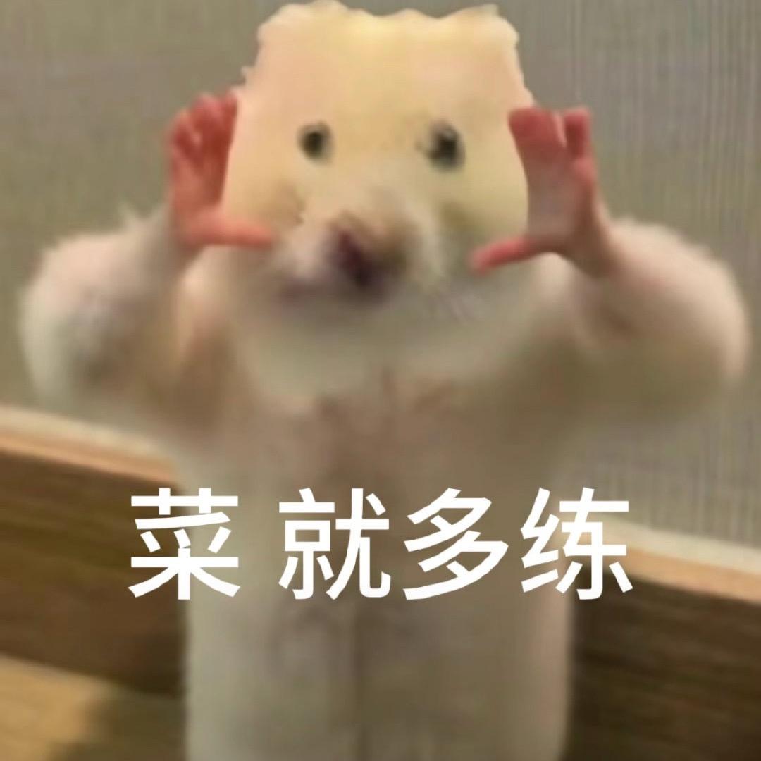 我妈说我这号废了（MBTI）