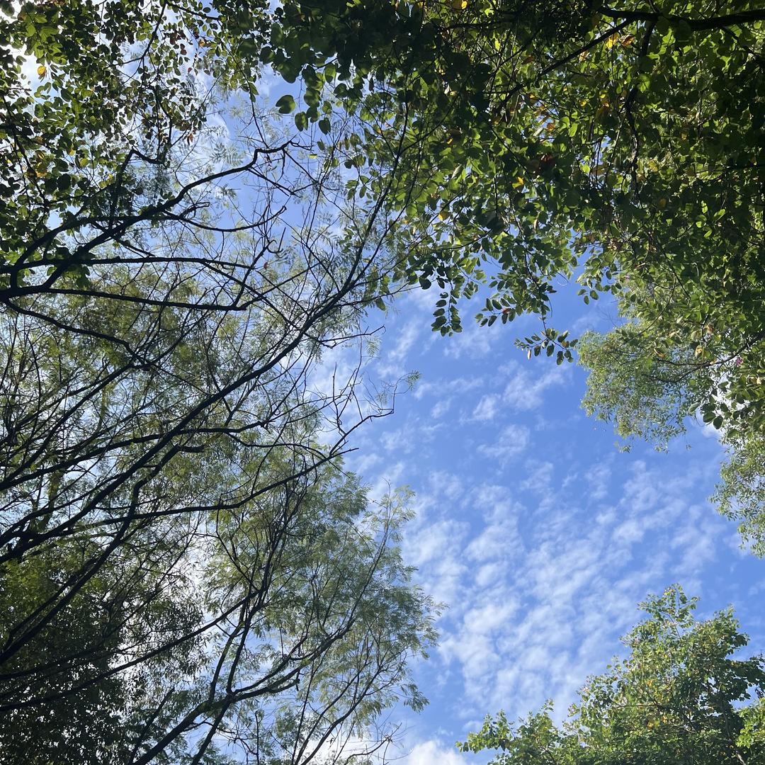 东莞市杰妮财务咨询有限公司