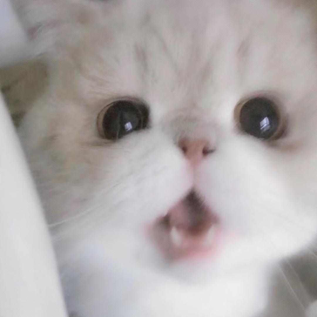 江水