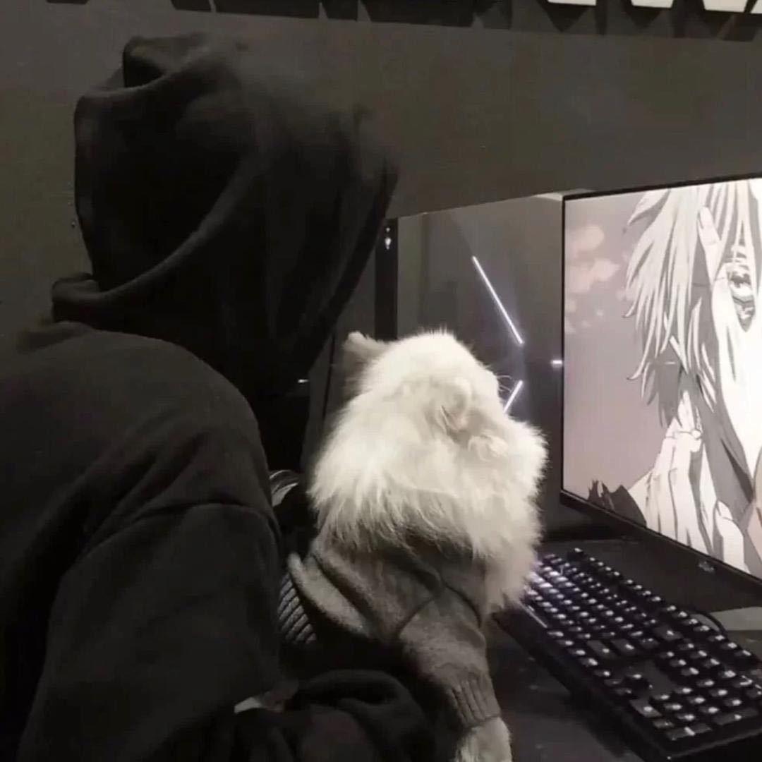 情.