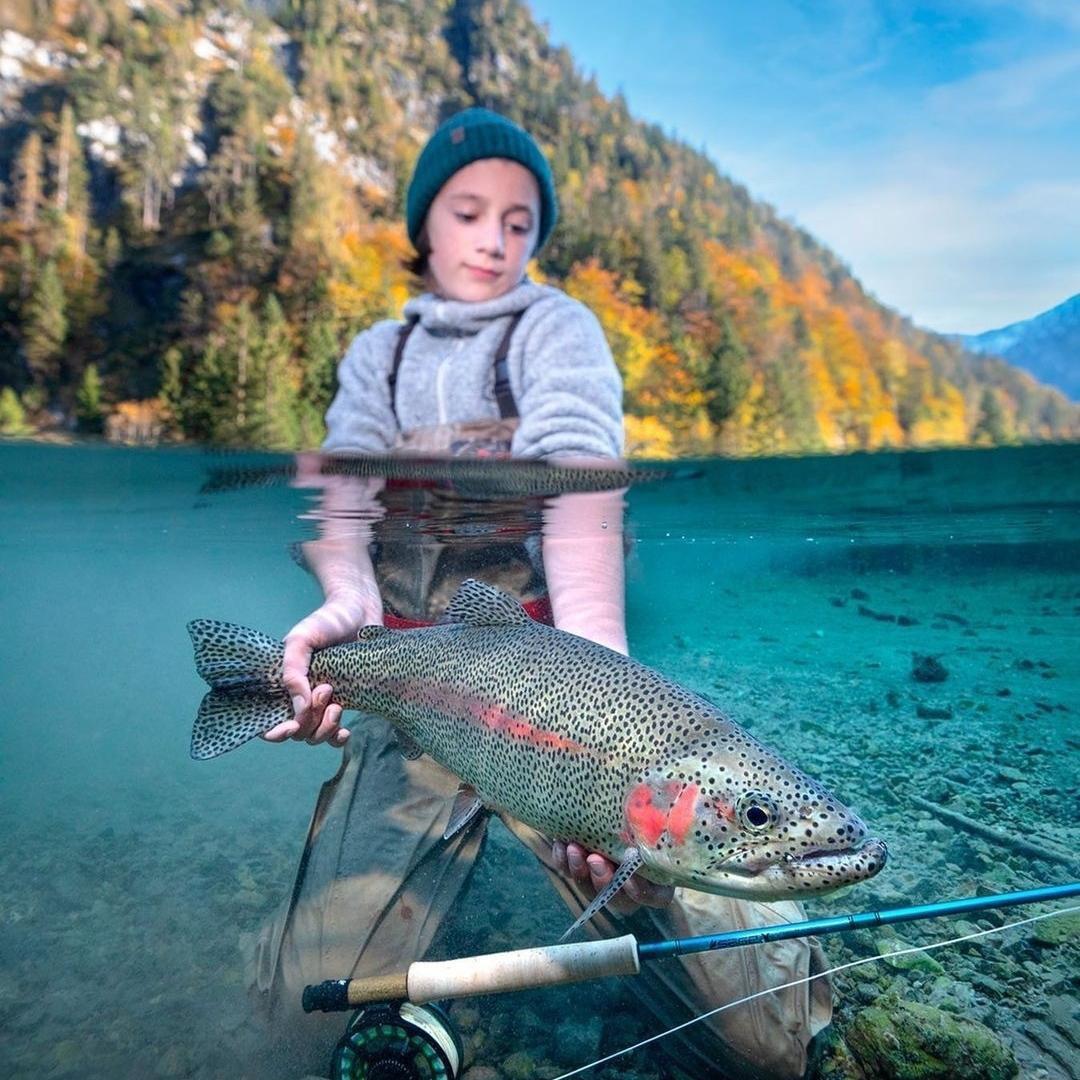 上了贼船的海盗