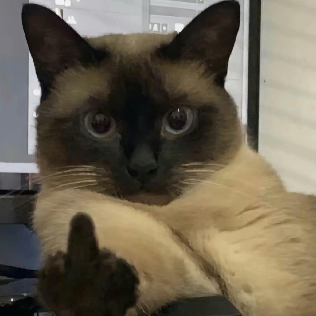 抖音用户zhangyuhao