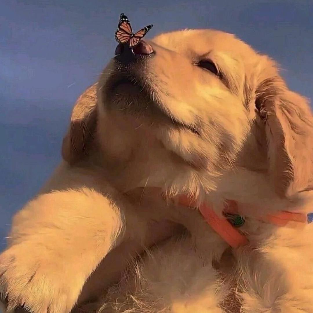 出门拉坨屎 开心一整天