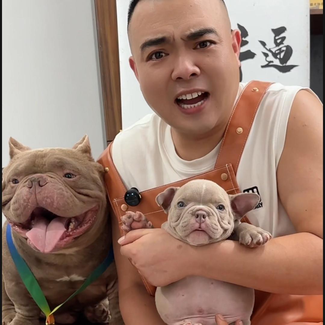 超霸犬舍（三哥哥玩，恶霸犬）