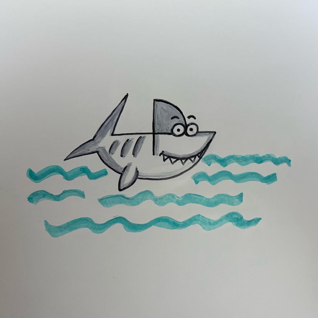 鯊魚🦈