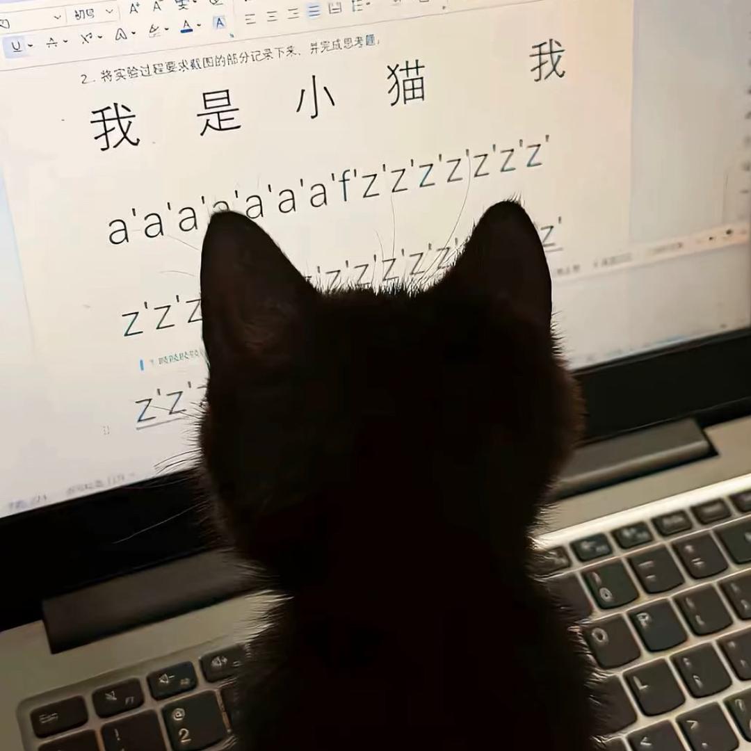 你对我来说是宇宙。