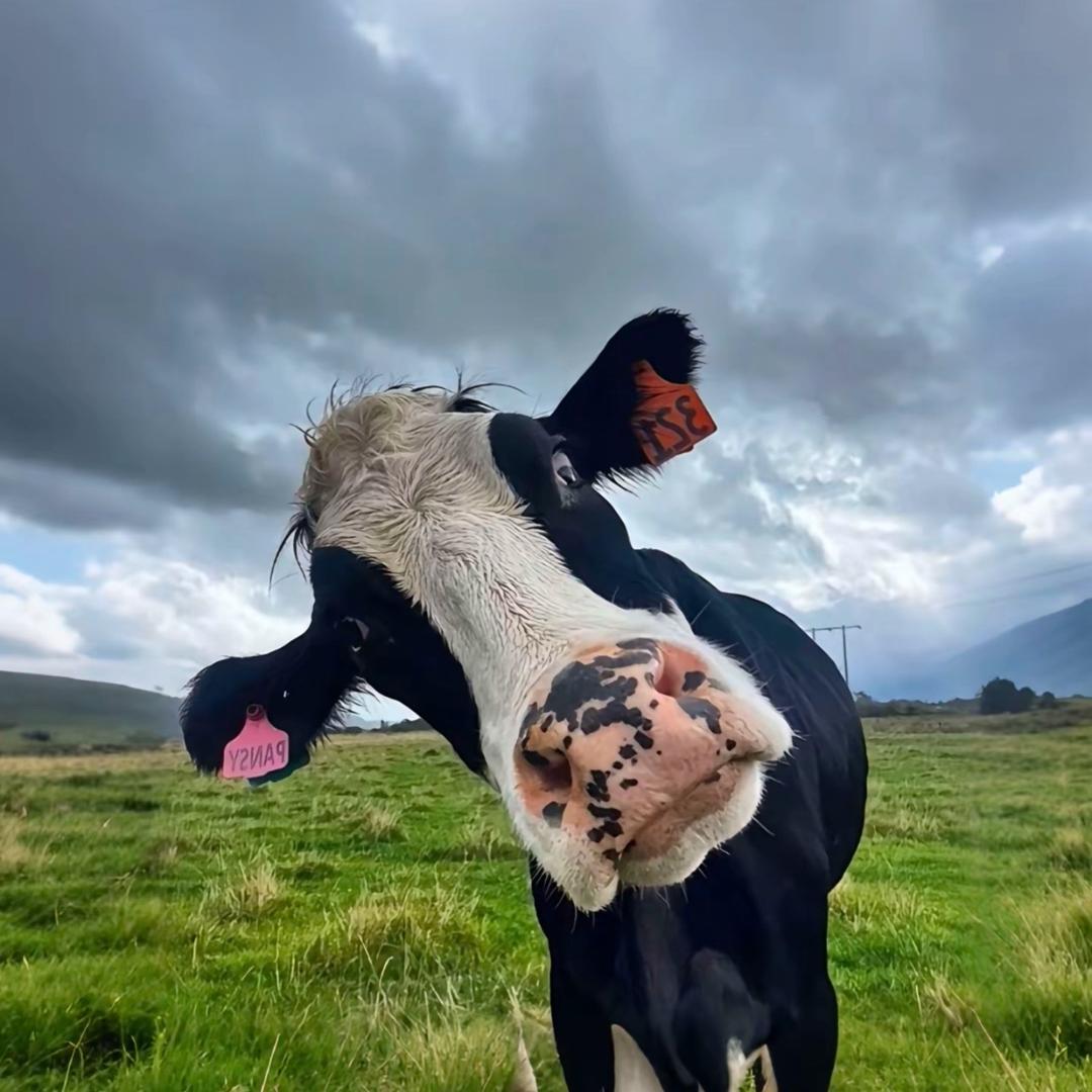 睡觉对我很重要.