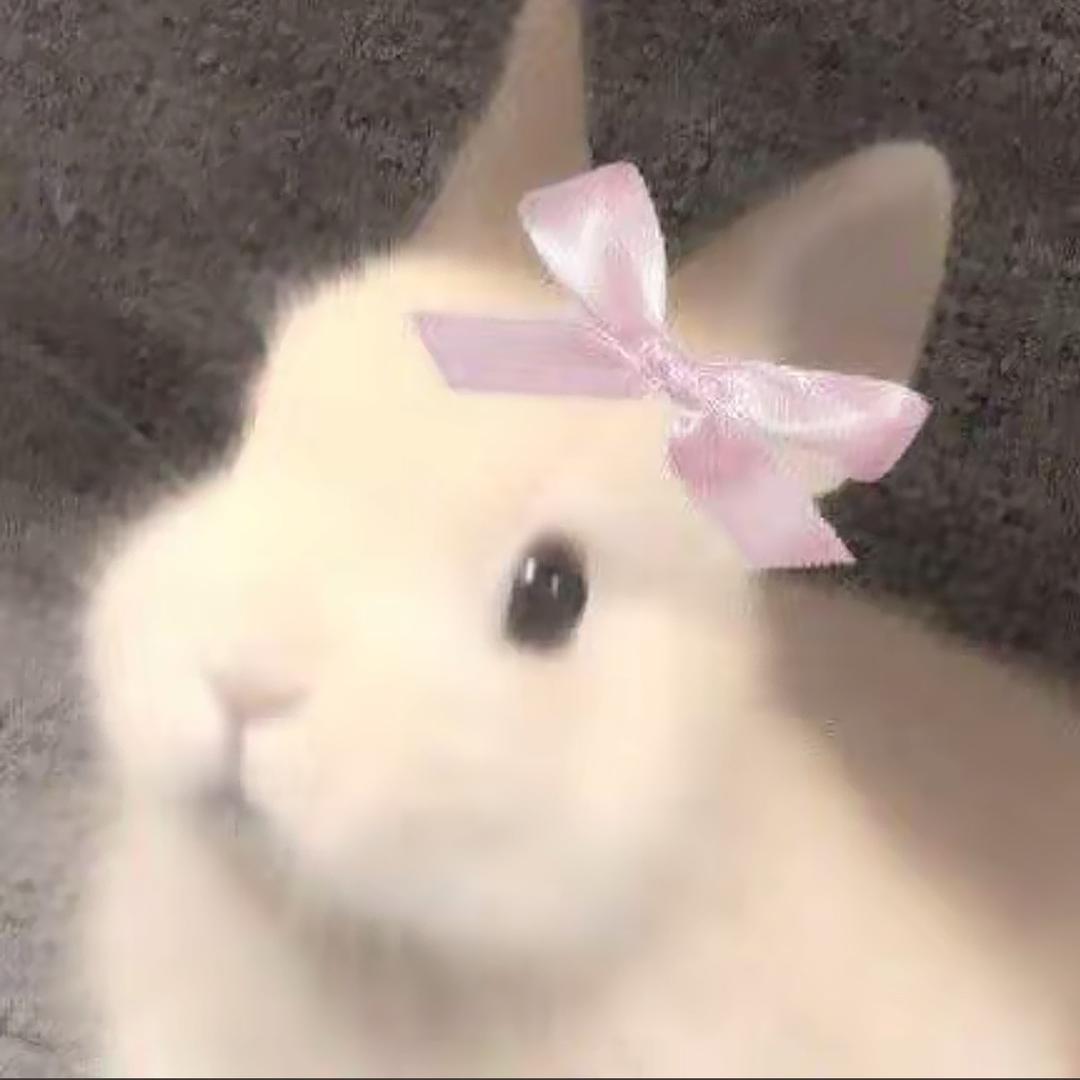 兔大王