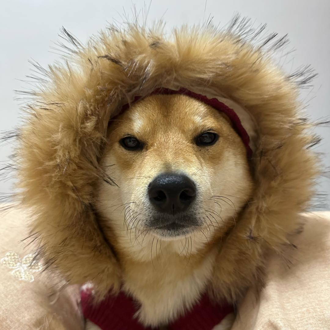颜值暴击、