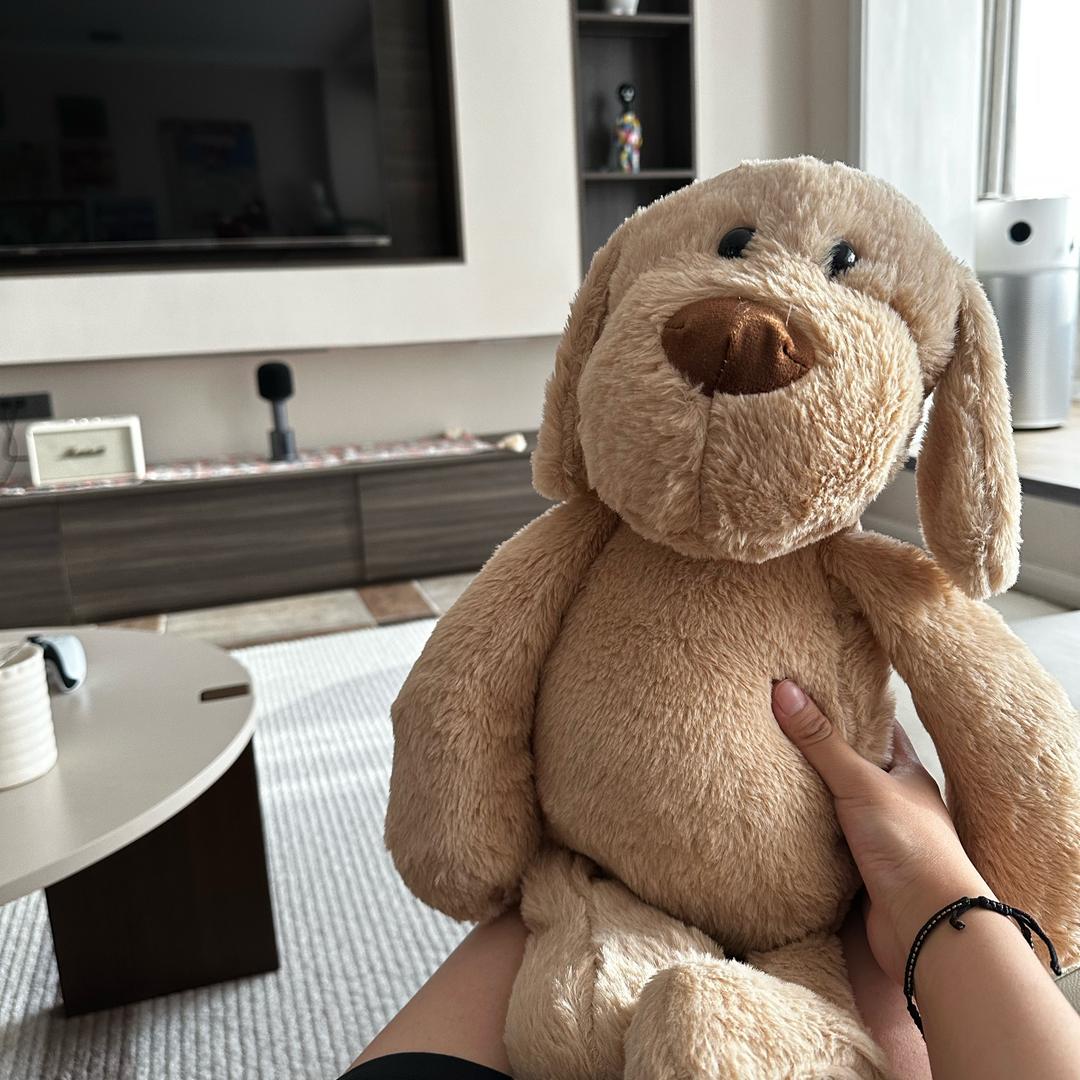 爱熬夜的加菲猫.