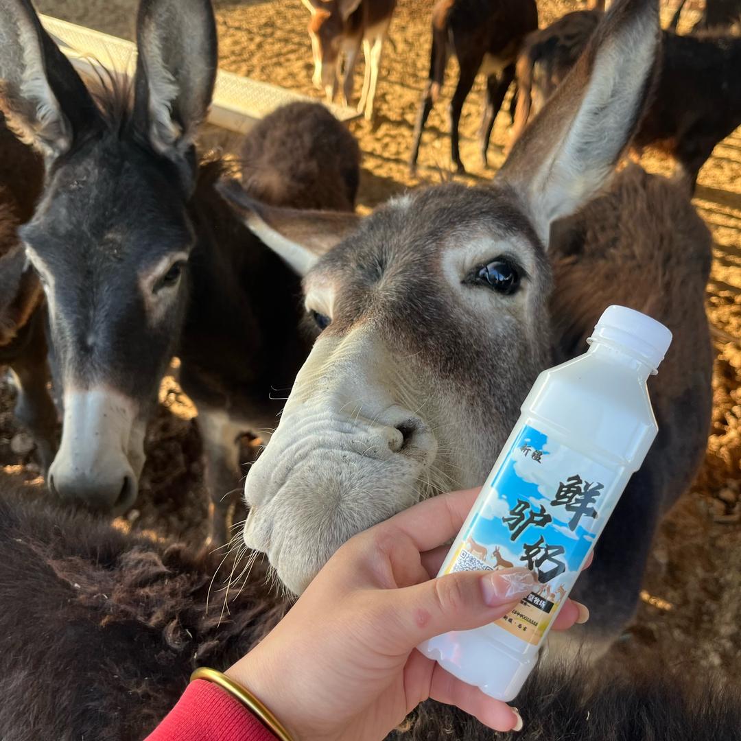 新疆驴奶