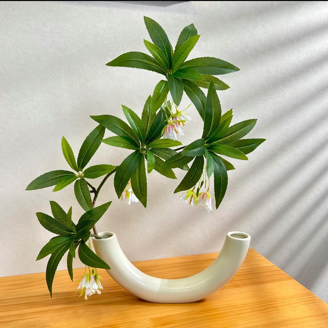 三叶草Lv