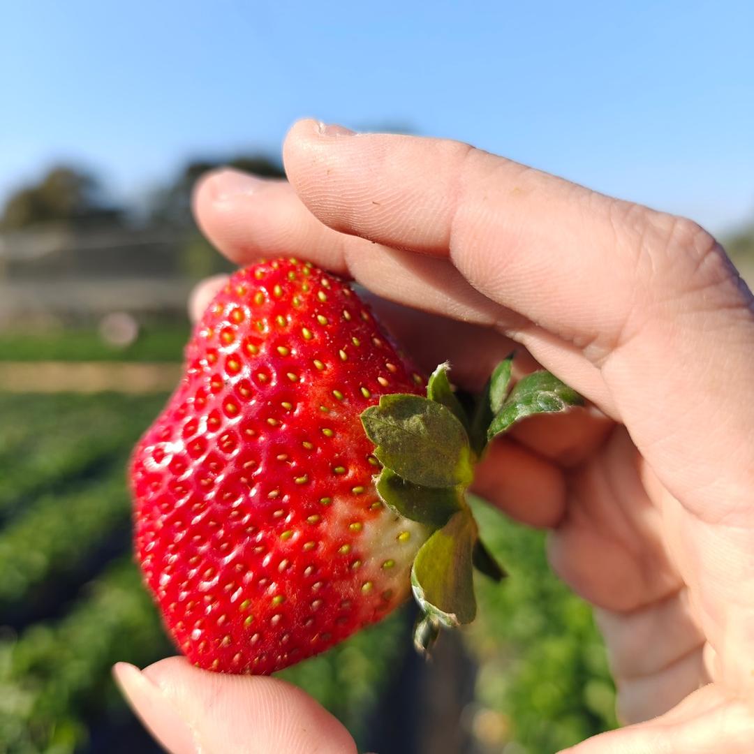 努力的郑哈哈老师