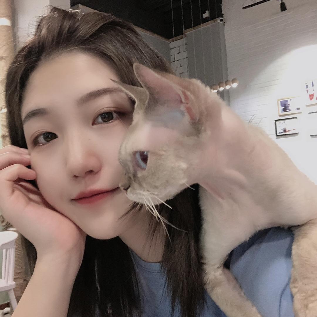 毛哥特M