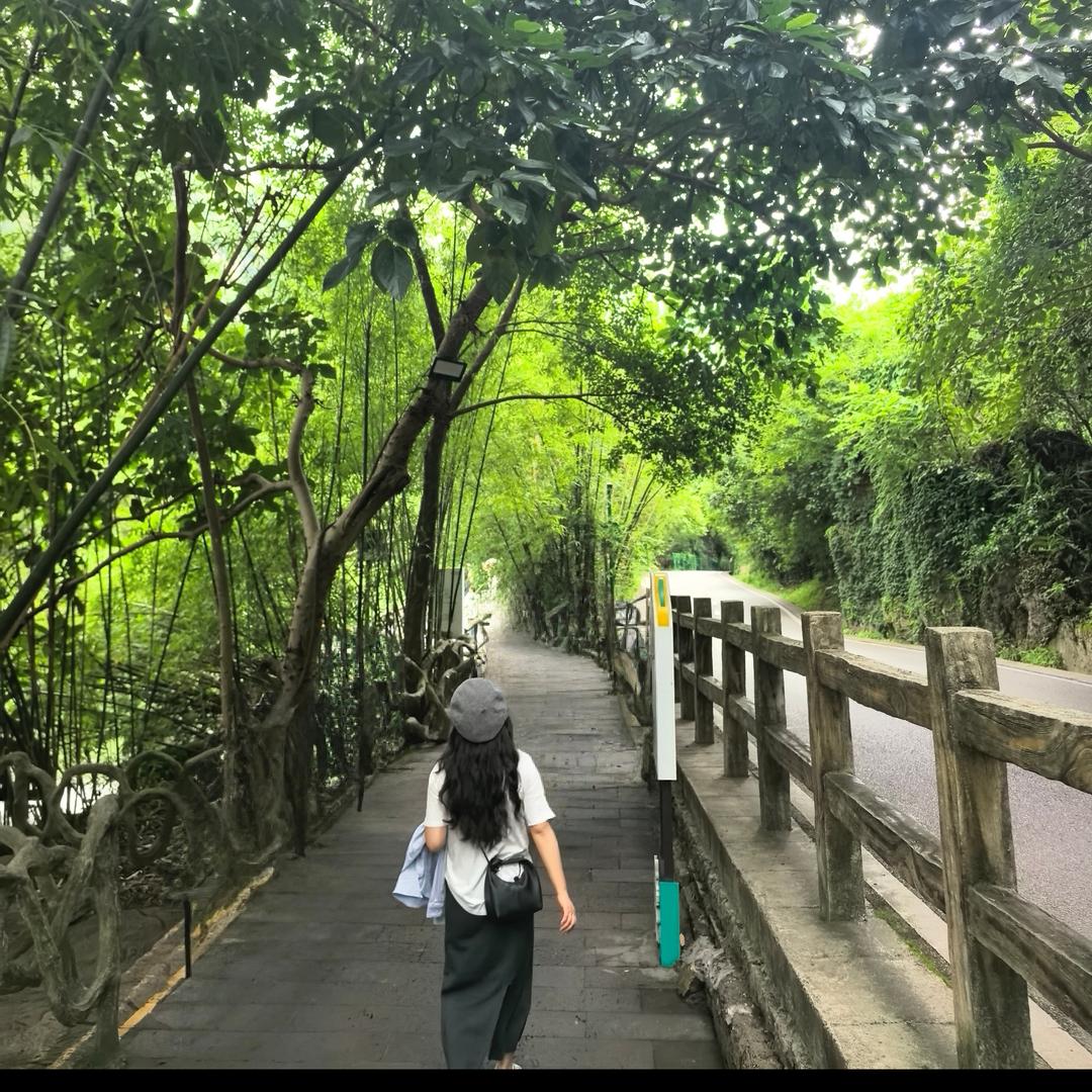 小张的碎碎念