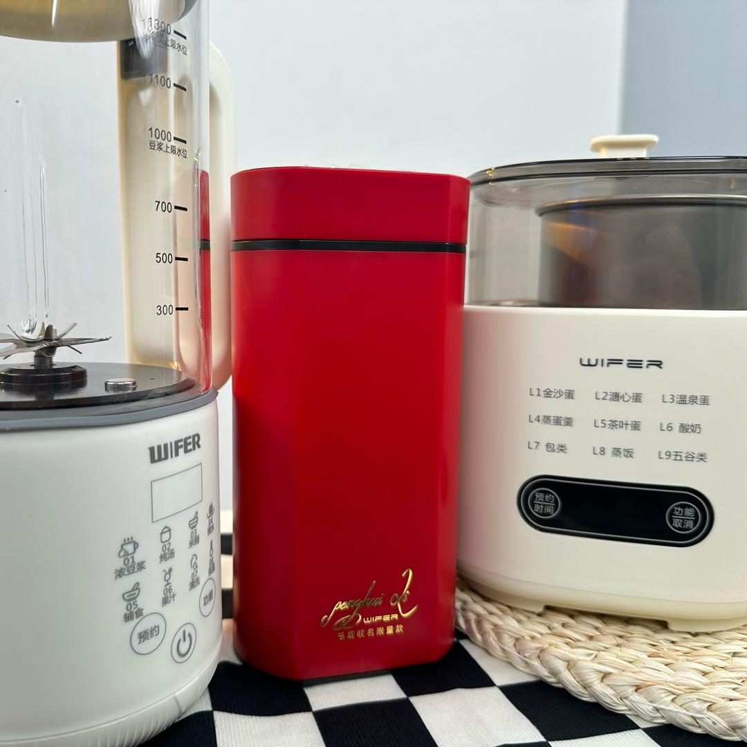 Wifer华潮厨房电器专卖店