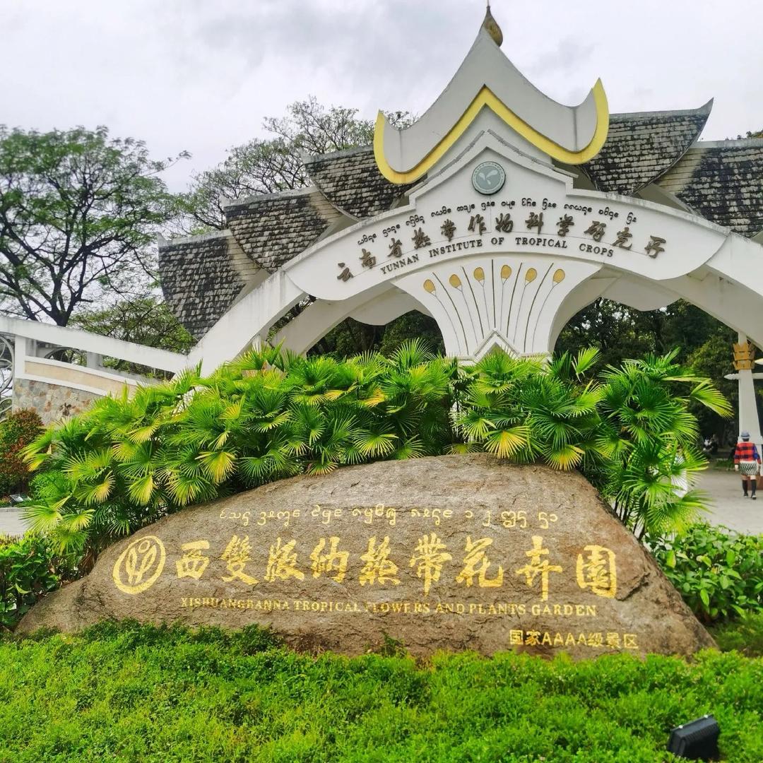 西双版纳花卉园福利官