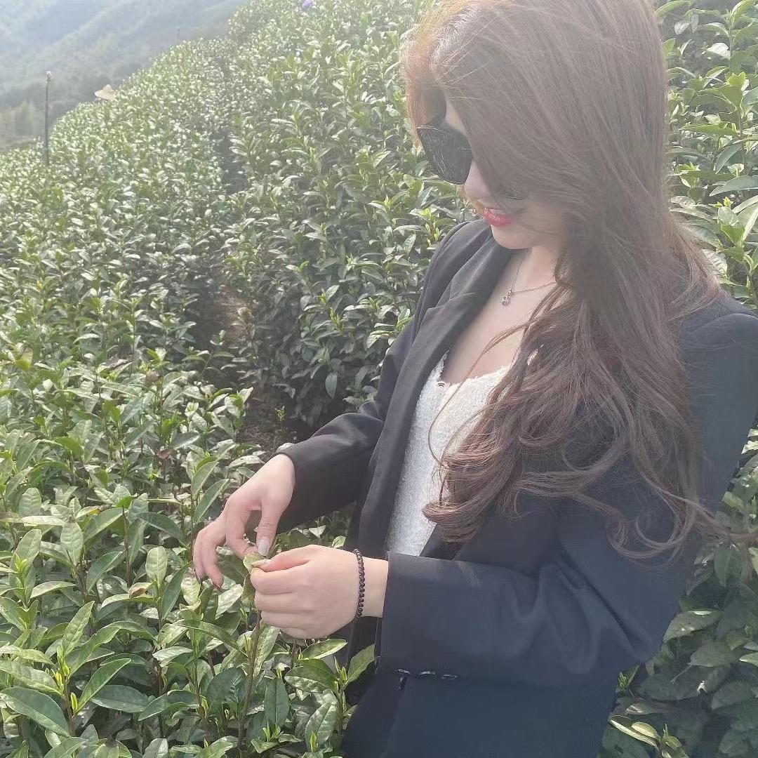 庆茗春茶业·碧螺春