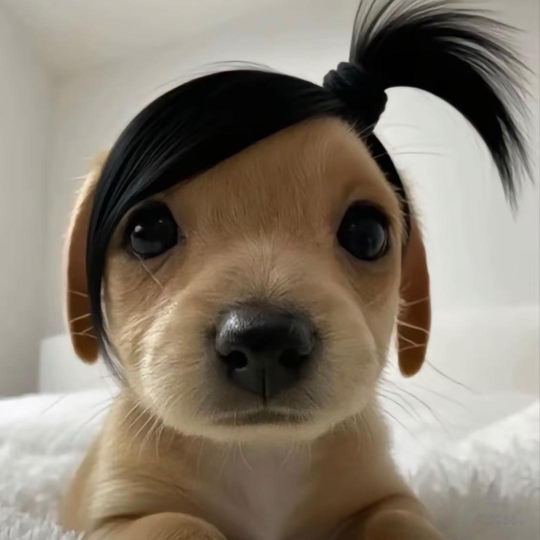 是叮当耶！