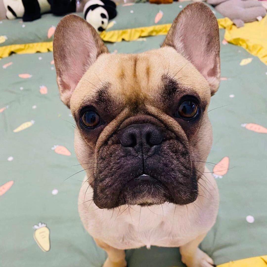 🚘景征汽修🚘