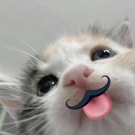 说好不哭t