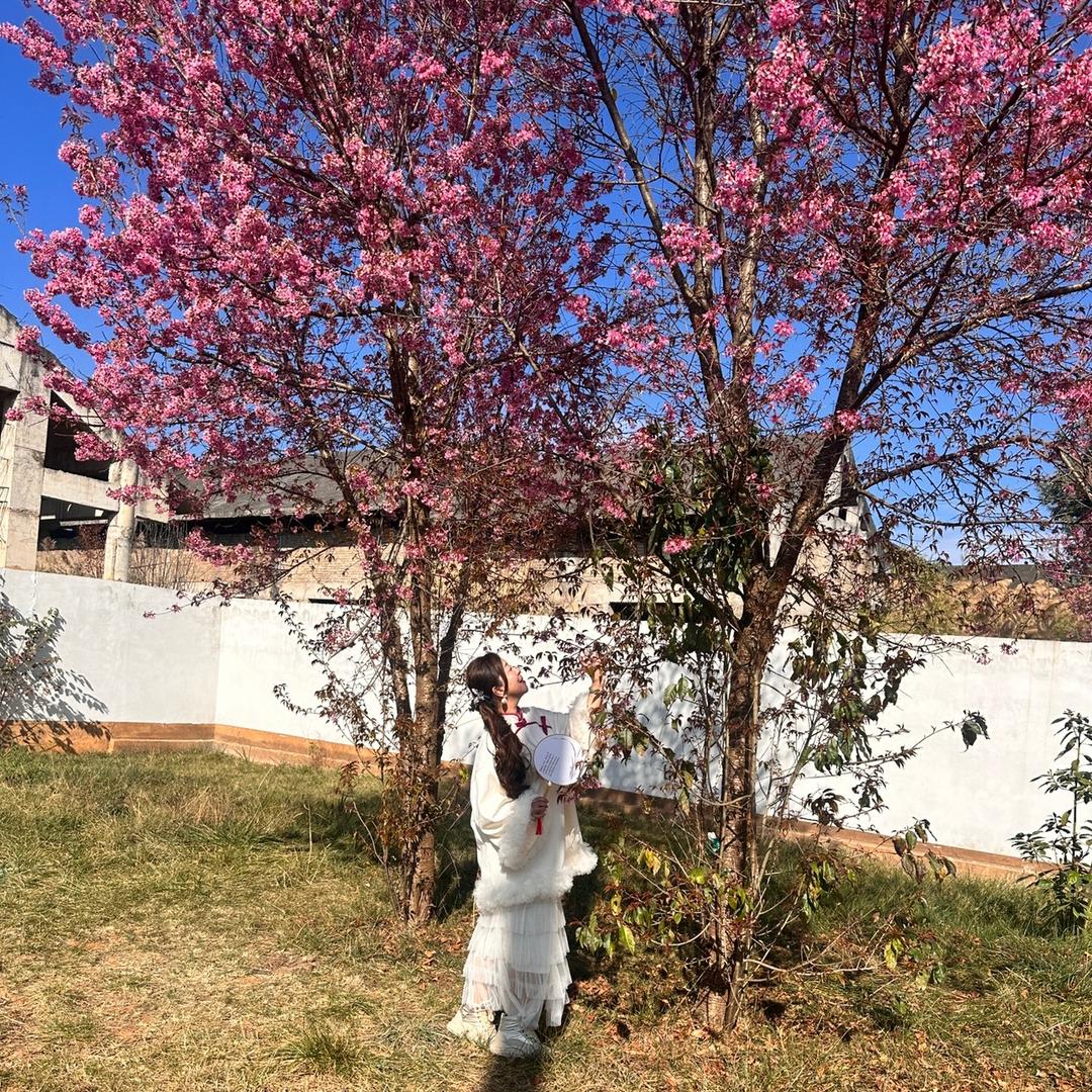 安安🍎宁宁