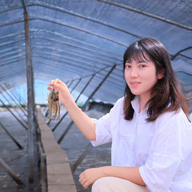 虾话连篇