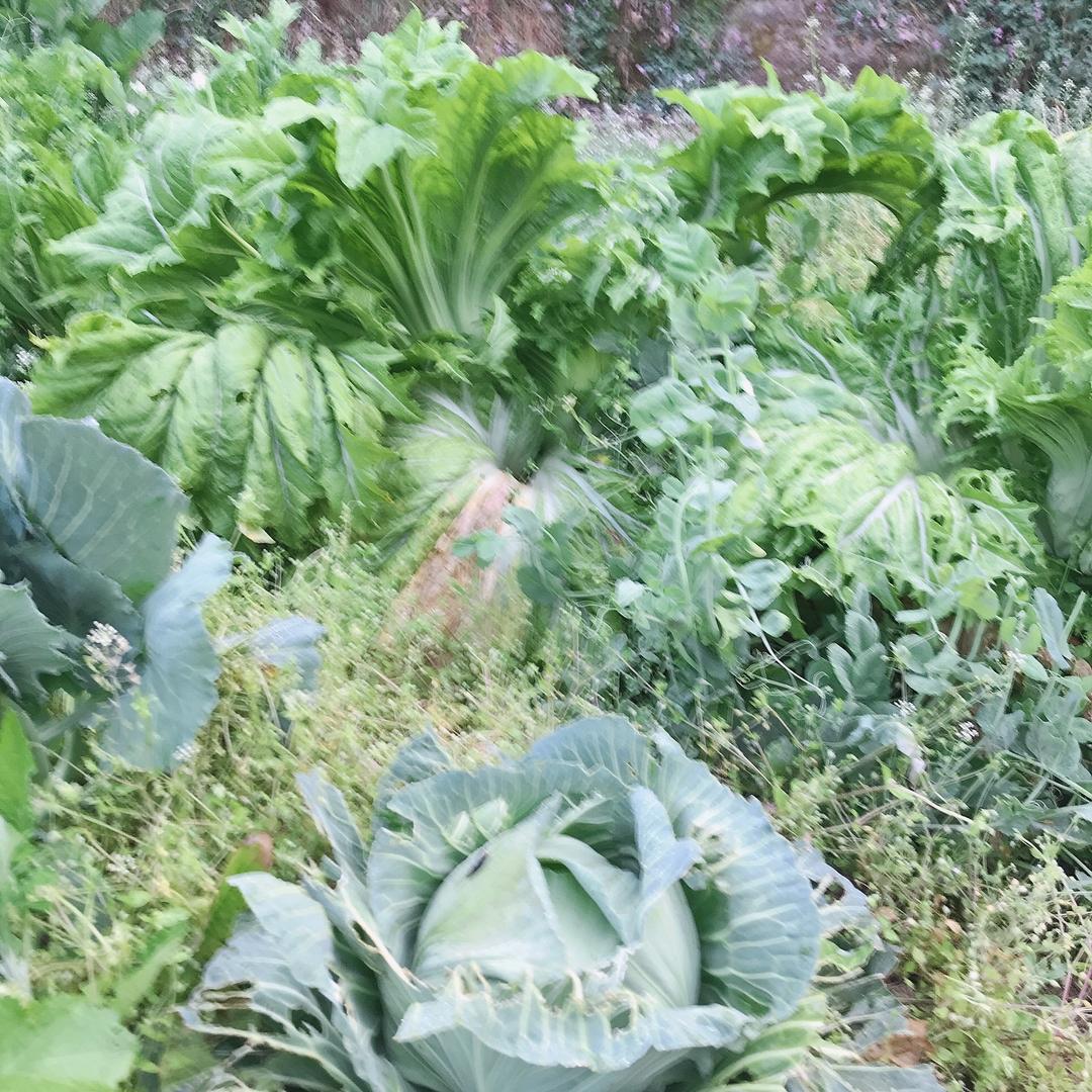 独走天涯