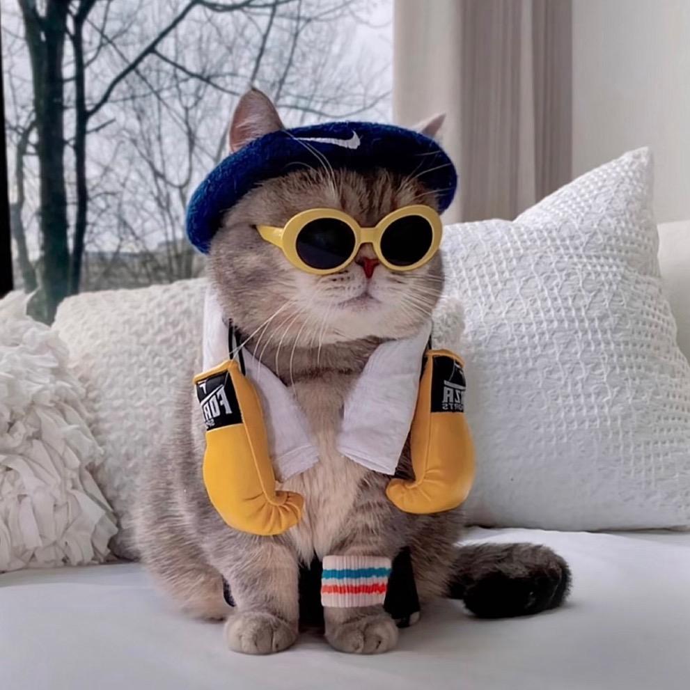 无敌暴躁老实人