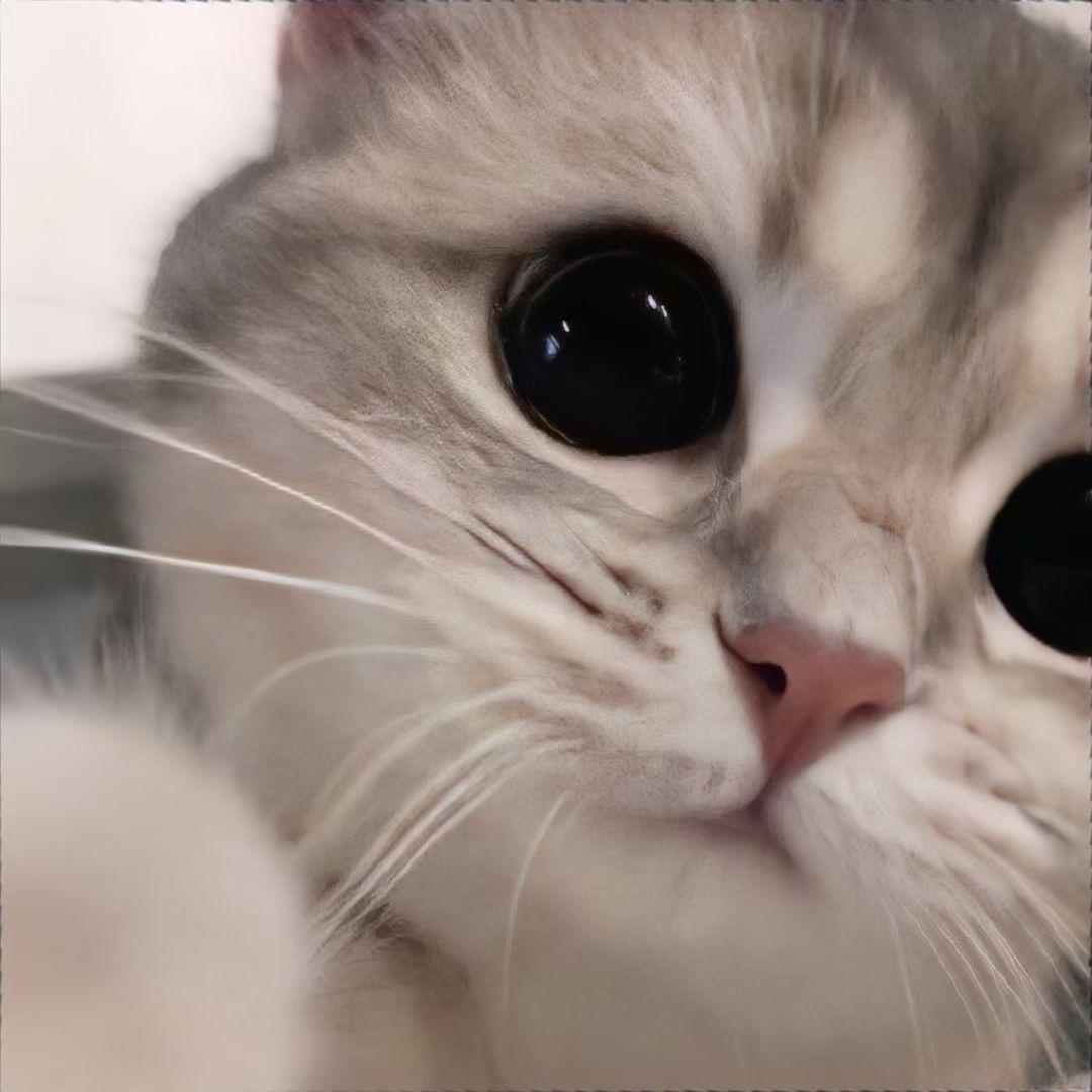 初三