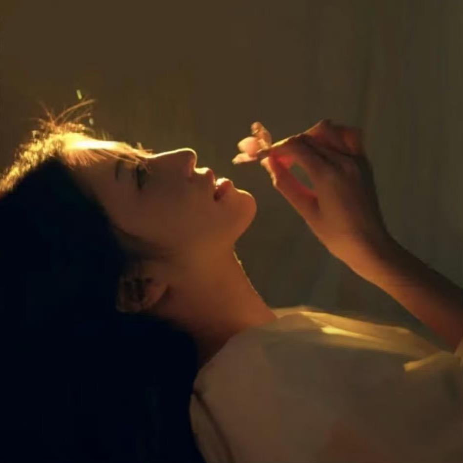 吃橘子吗·🍊