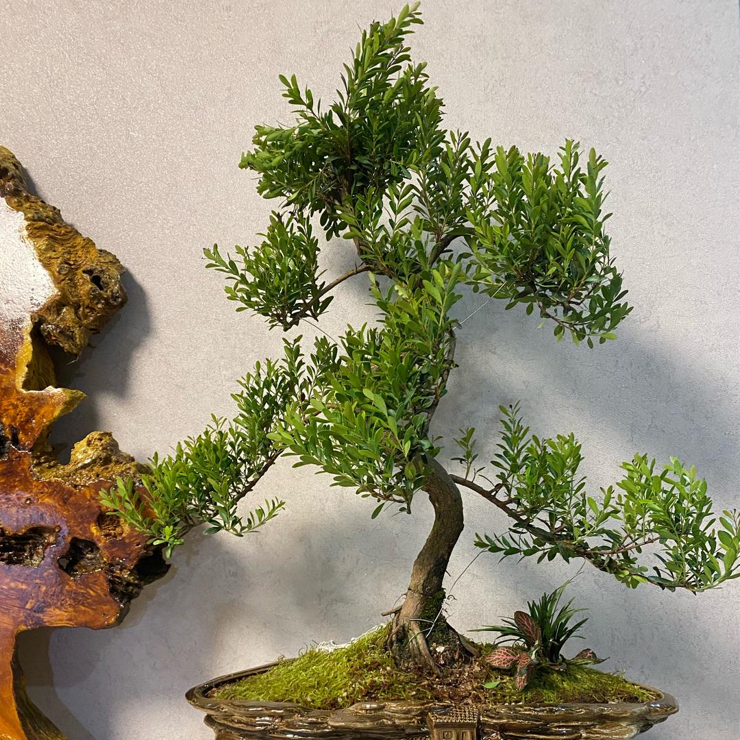 웃자 웃자🥰🥰🥰