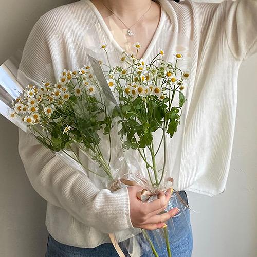 天秤座♀