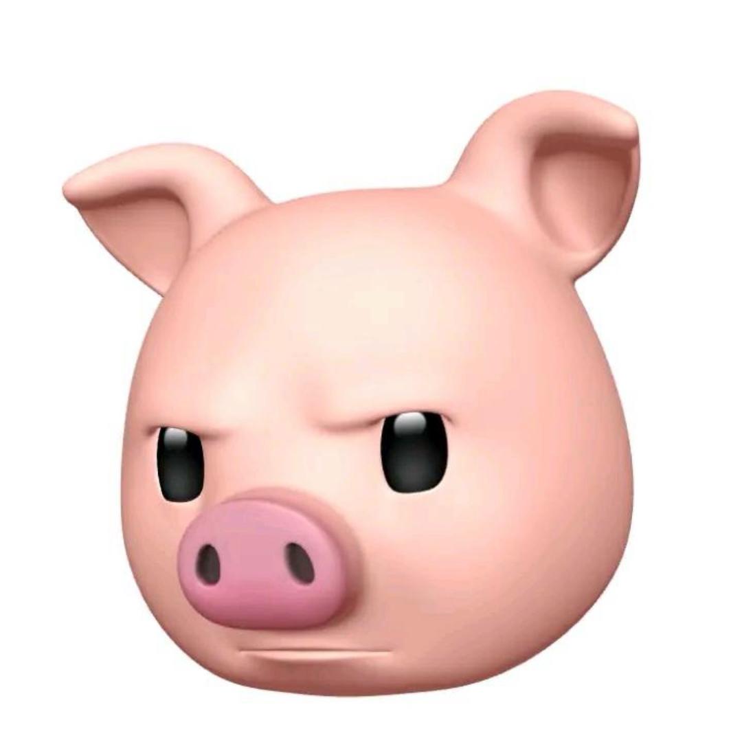 𝘾𝙖𝙢𝘼𝙤𝙧𝙚